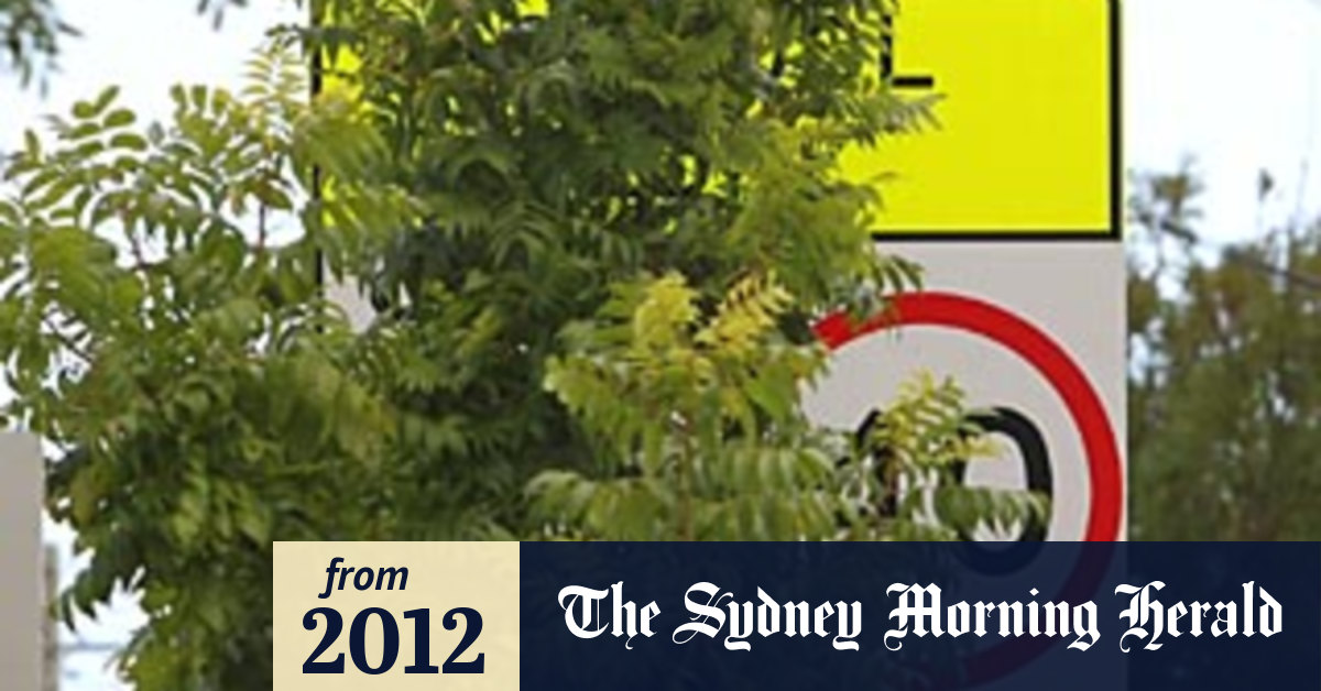 Hidden road signs a danger at schools